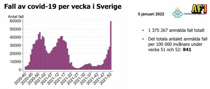 Diagram som visar antal fall av covid-19 per vecka i Sverige, med en markant ökning under de senaste veckorna.