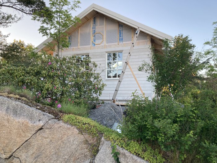 Hus under konstruktion med nyligen installerade fönster och vindduk, stegar lutade mot fasaden.