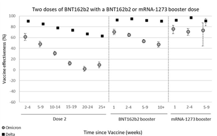 Diagram som visar vacciners effektivitet mot omikron och delta över tid efter andra och tredje doser.