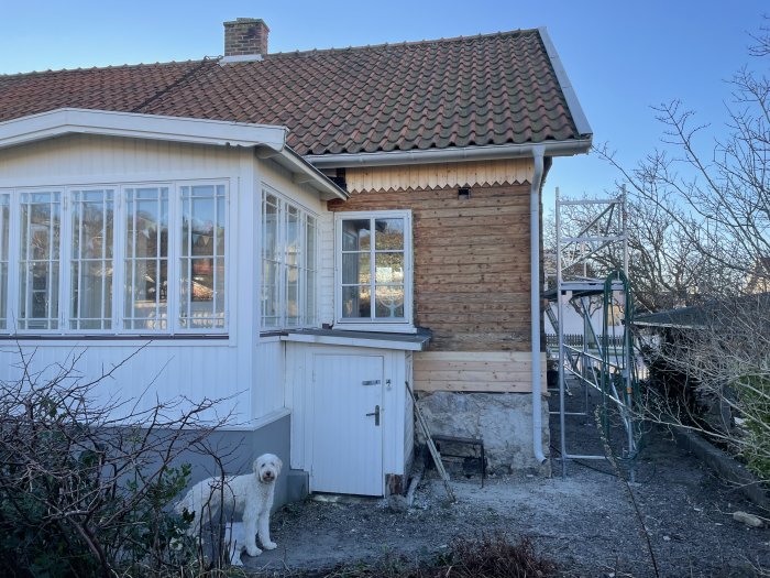 Delvis renoverat hus med ny panel och en hund framför fasaden.