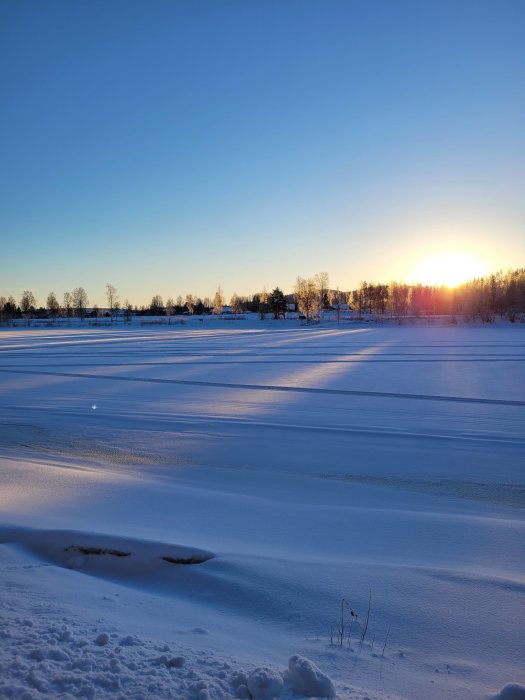 Vintersolnedgång över ett snötäckt landskap med trädsilhuetter i bakgrunden.