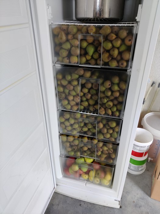 En öppen frys full med olika sorters frukt för att lagra inför ciderproduktion.