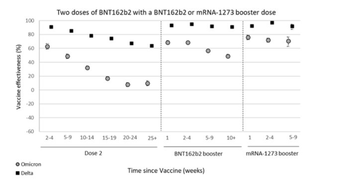 Graf som visar vaccinets effektivitet mot Covid-19 Delta och Omikron över tid efter booster.