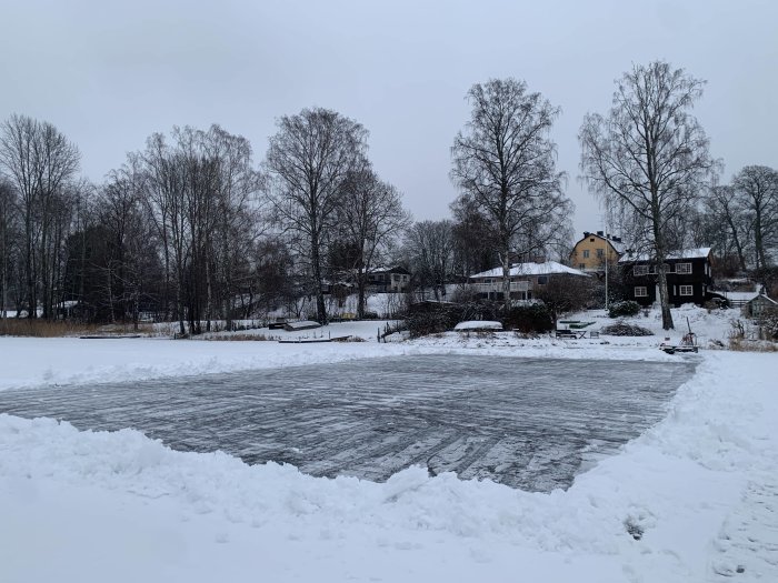 Skottad hockeyrink på en frusen sjö med snövallar och träd i bakgrunden under vinter.