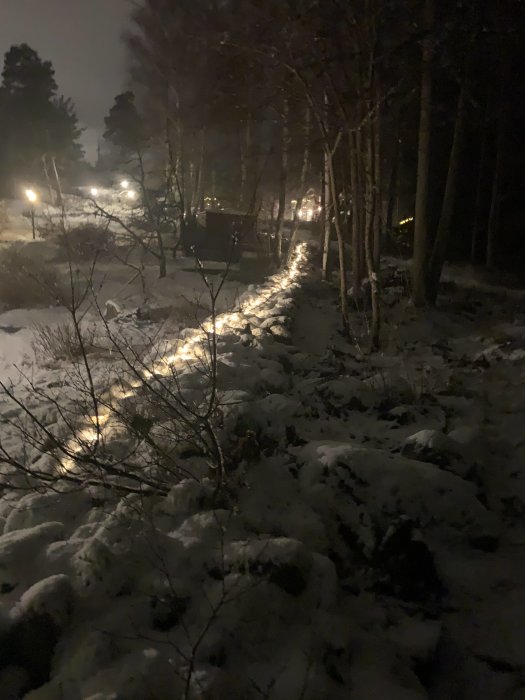 Ett snötäckt landskap på kvällen med en belyst stig som slingrar sig genom träd och buskar.