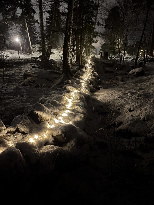 Belyst snöig stig i skogen på kvällen med belysning som markerar vägen.