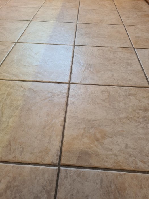 Närbild av kakelgolv med beige plattor och mörka fogar, diskussion om läggning utan flytspackel.