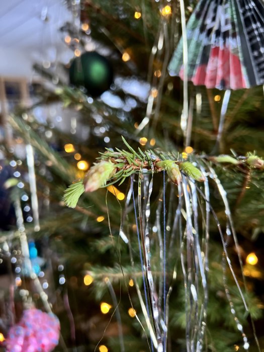 Närbild på julgranskvistar med silverfärgad glittertråd och suddig bakgrund av julgranskulor och ljus.