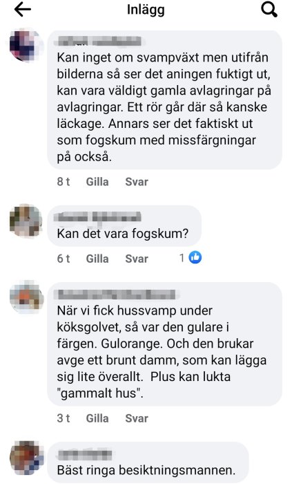 Skärmdump av en diskussionstråd där användare diskuterar möjligt fuktskada och svampväxt i ett hus.