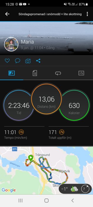Skärmklipp av aktivitetsspårningsapp som visar promenadsträcka på 13,06 km, tid 2:23:46 och 630 förbrända kalorier.