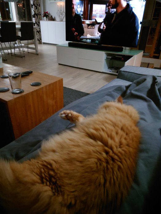 Orange katt som ligger i fotänden av en säng med TV:n på i bakgrunden.