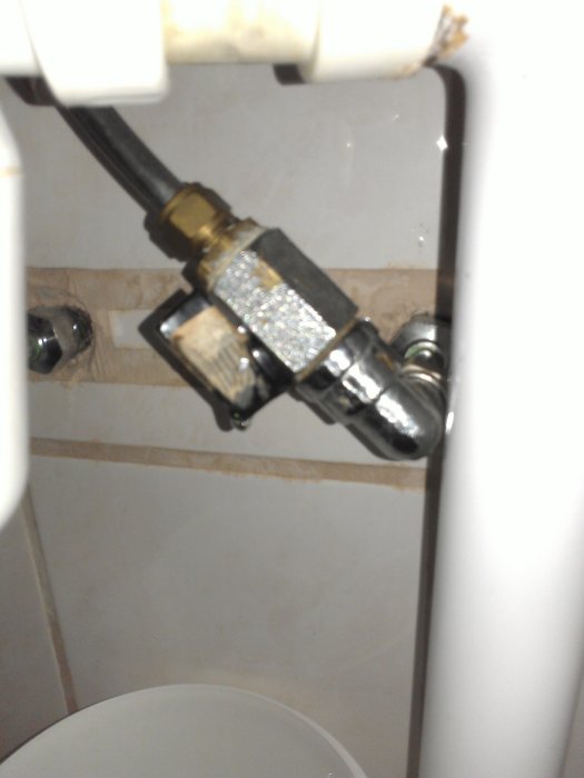 WP_000388.jpg