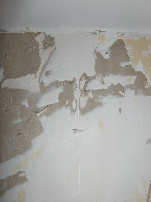 CIMG3418.jpg