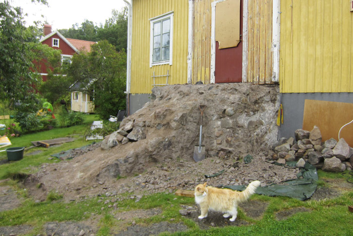 IMG_0618.jpg