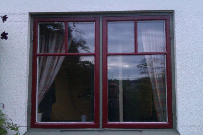 IMAG0695.jpg