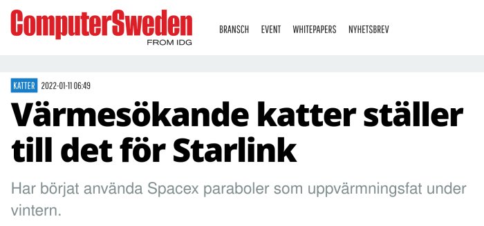 Skärmdump från ComputerSweden webbsida med artikel om katter som värms av Starlink-antenner.