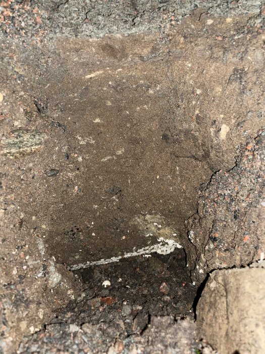 Ett hål under stengång med ägg längst in vid grunden, synligt genom kantstensbrott.