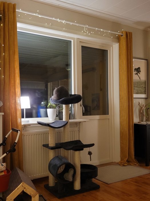 Katt på avsatsen näst högst upp på klösträdet bredvid fönster med fönsterbräda och gardiner.