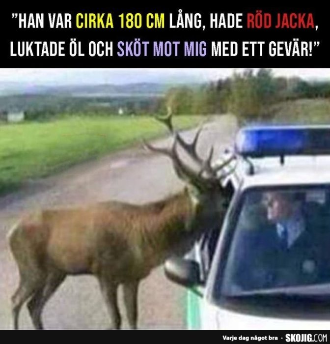 Älg står framför en polisbil, ser ut att samtala med polis inuti bilen, med humoristisk text.