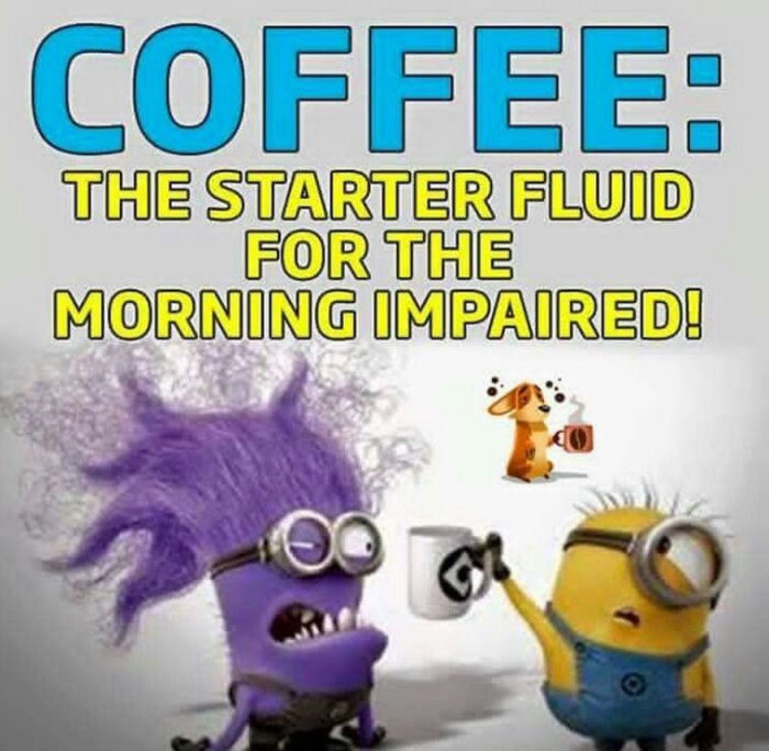 Illustration med två animerade figurer och en hund, texten säger "COFFEE: THE STARTER FLUID FOR THE MORNING IMPAIRED".