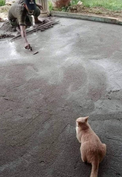 Person slätar ut våt betong medan en katt ser på.