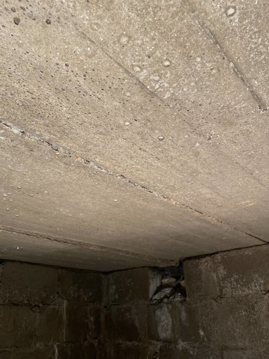 Vattenkondens på krypgrundens betongtak och väggar i närheten av ventiler.