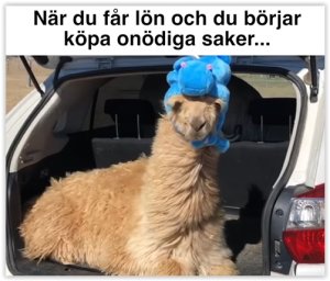 Kamel med blå hatt sitter i en bilens bagageutrymme med text om att köpa onödiga saker.