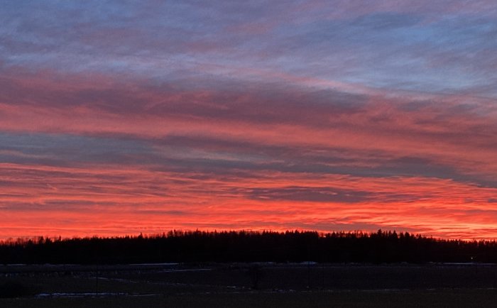 Dramatisk solnedgång med livfulla röda och orange nyanser över en silhuetterad skogslinje mot en klarblå himmel.