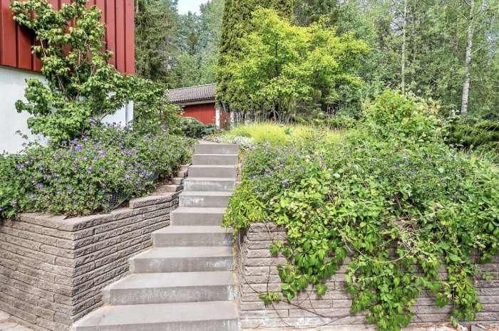 Staplad stenmur längs trädgårdssteg, omgiven av gröna växter och blommande buskar framför ett hus.