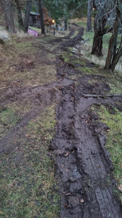 Skadad gräsmatta med djupa hjulspår i leran på en persons tomt.