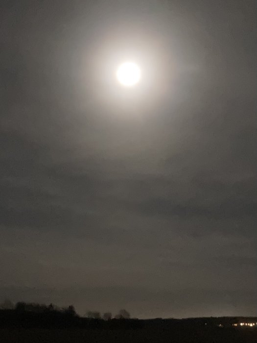 Fullmåne som lyser upp en mörk himmel ovanför silhuetten av ett landskap med träd.