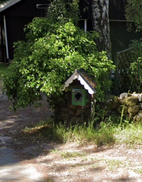 Lummigt träd bredvid en trädfodrad grusväg och ett litet färgglatt fågelhus nära en stuga.