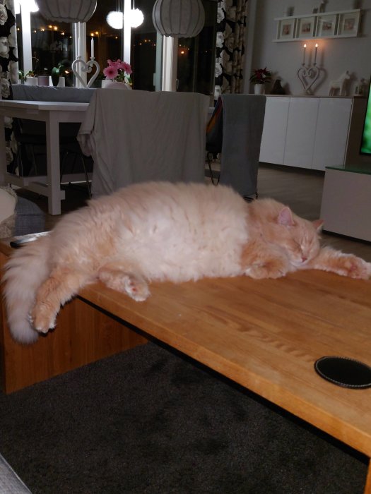 En orange katt ligger utsträckt och sover på ett träbord i ett vardagsrum.