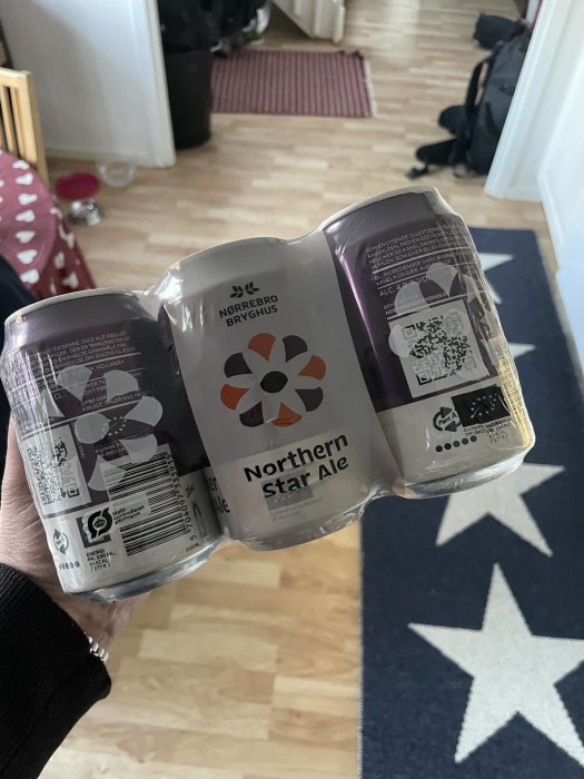 Hand håller två 6-pack Northern Star Ale från Nörrebro Bryghus, inomhus med matta och hund i bakgrunden.