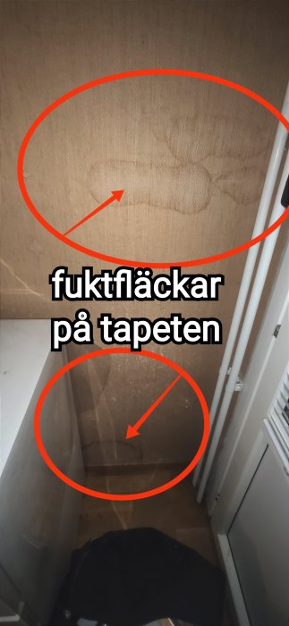 Fuktfläckar på tapeten i ett hörn av rummet, markerade med röda cirklar.