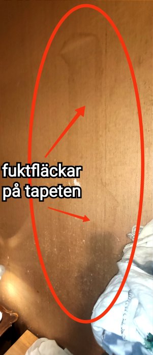 Fuktfläckar på tapet markerade med röd cirkel och pilar i ett hörn av ett rum.