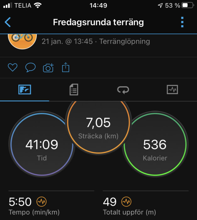 Skärmavbild av träningsapp med statistik för terränglöpning: 7,05 km, 41:09 tid, 536 förbrända kalorier.