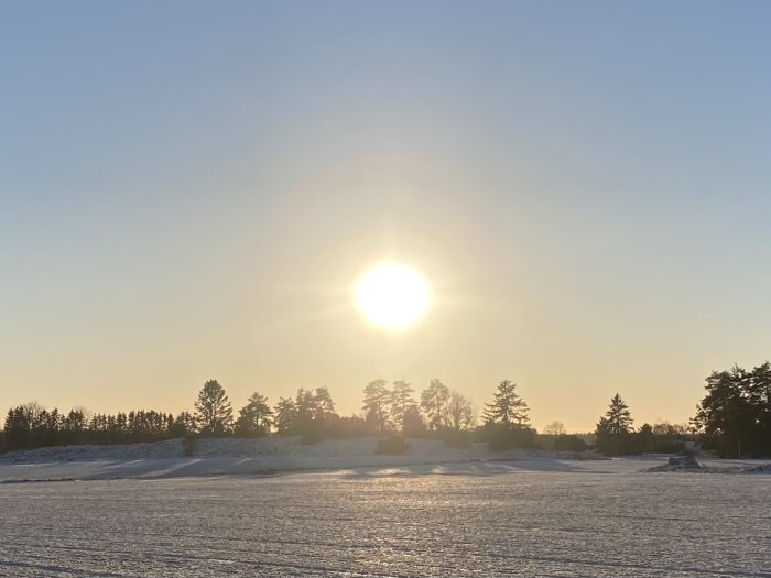 Solnedgång över en snötäckt landskap med träd i horisonten.