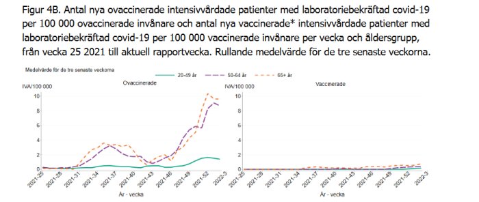 Liniendiagram som jämför antal ovaccinerade och vaccinerade intensivvårdade COVID-19 patienter per åldersgrupp.