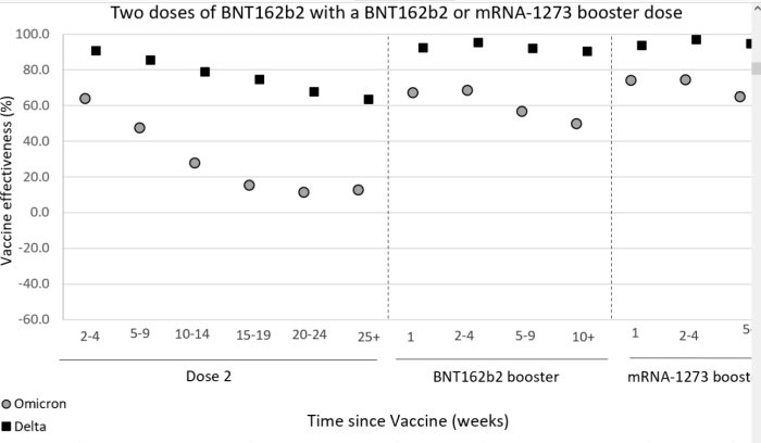 Diagram som visar effektiviteten av två doser vaccin och boosterdoser mot delta- och omikronvarianterna över tid.