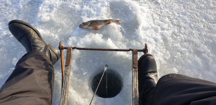Person som isfiskar med en fångad fisk på isen bredvid ett hål, omgiven av fiskeutrustning.