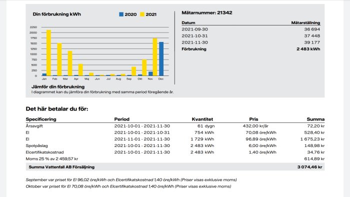 Elräkningsöversikt med konsumtionsdiagram för 2020 och 2021 och kostnadsdetaljer.