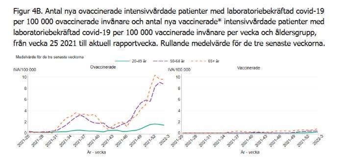 Statistikdiagram visar antalet ovaccinerade och vaccinerade personer som fått intensivvård för covid-19 per åldersgrupp över tid.