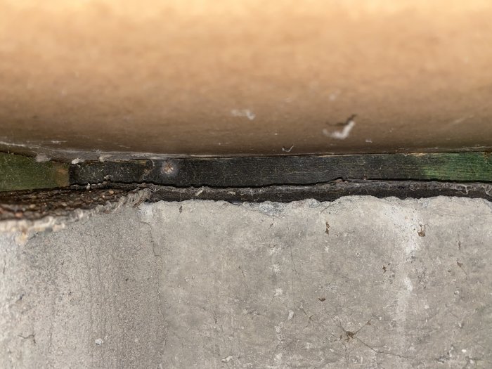 Närbild av en husgrund med en träsyll där en svart rötskada syns tydligt mot den gröna ytan på resten av träet.