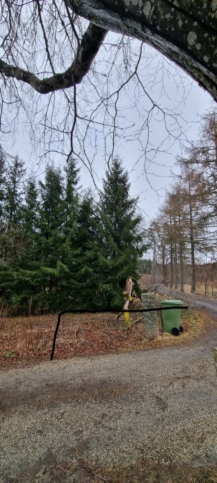 En grusad infart med linjer märkta för planering, grön soptunna och träd i bakgrunden.