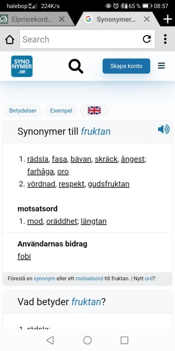Skärmdump som visar synonymer till ordet "fruktan" på en ordlexikonwebbplats.