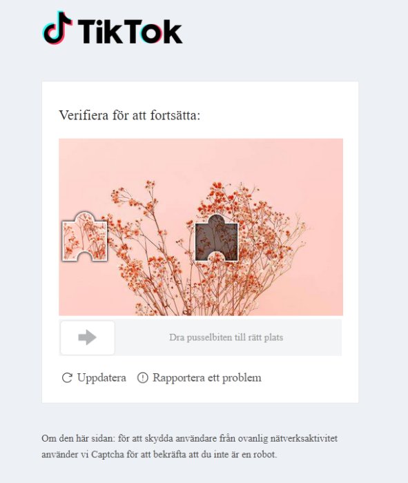 TikTok captcha med pusselbit som ska dras till rätt plats med bakgrund av blommor.