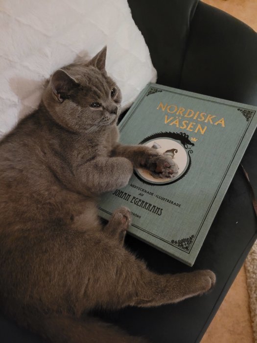 Grå katt som ligger på en bok med titeln "Nordiska väsen" i ett sovrum.