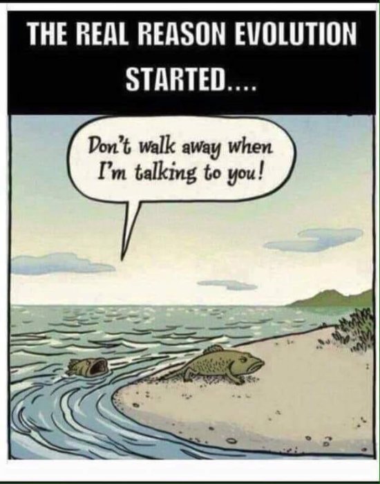 Seriebild som skämtsamt förklarar evolution med en fisk på land som säger "Don't walk away when I'm talking to you!