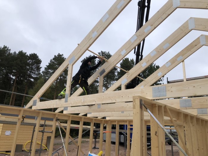Montering av takstolar på träkonstruktion med arbetare i högskyddsutrustning under klart väder.